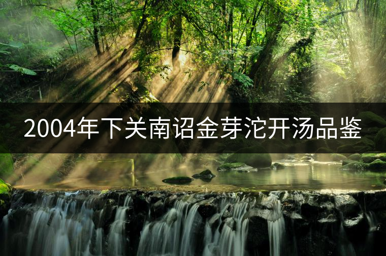 2004年下關南詔金芽沱開湯品鑒