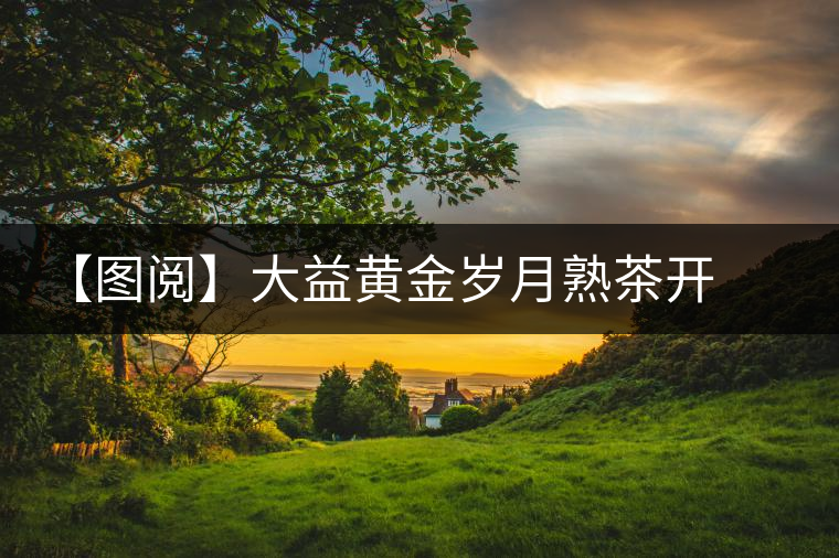 【圖閱】大益黃金歲月熟茶開湯 【圖閱】大益黃金歲月熟茶開湯