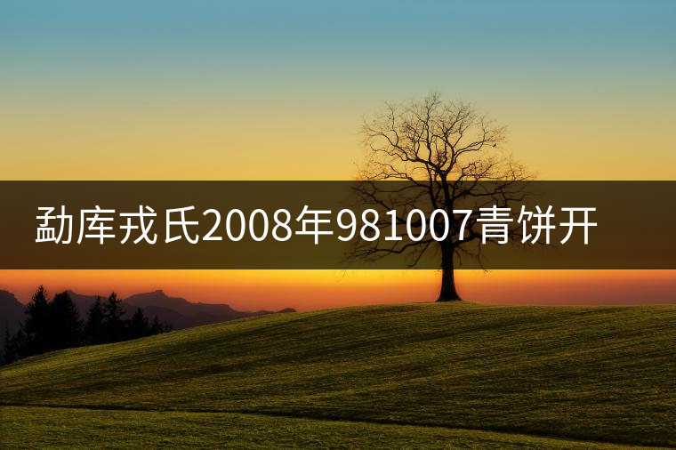 勐庫(kù)戎氏2008年981007青餅開(kāi)湯品鑒 勐庫(kù)戎氏2008年981007青餅開(kāi)湯品鑒