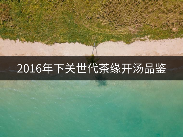 2016年下關世代茶緣開湯品鑒