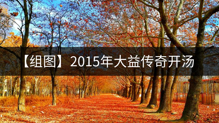 【組圖】2015年大益傳奇開湯 【組圖】2015年大益傳奇開湯