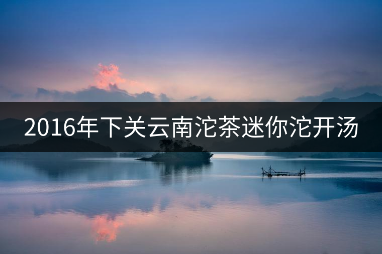 2016年下關云南沱茶迷你沱開湯 2016年下關云南沱茶迷你沱開湯