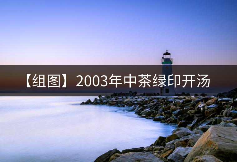 【組圖】2003年中茶綠印開湯