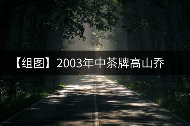 【組圖】2003年中茶牌高山喬木雨前茶開湯