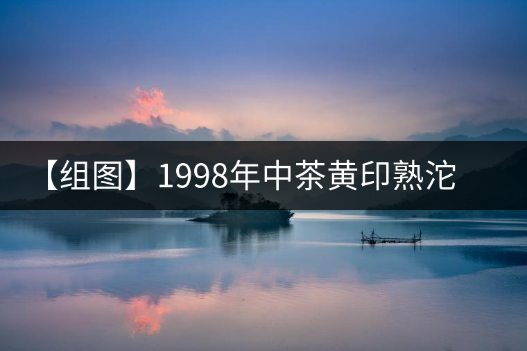 【組圖】1998年中茶黃印熟沱開湯