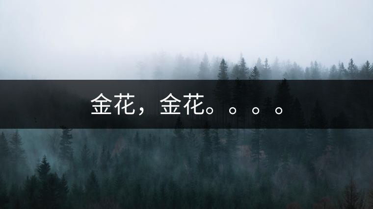 金花，金花。。。。