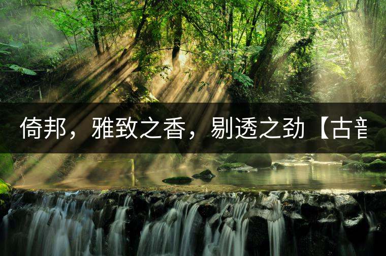 倚邦,雅致之香,剔透之勁【古普十二山品鑒】 倚邦,雅致之香,剔透之勁【古普十二山品鑒】