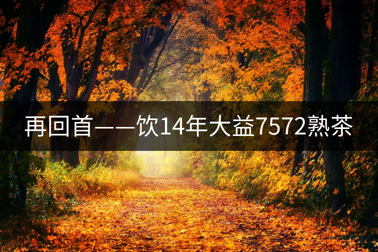 再回首——飲14年大益7572熟茶