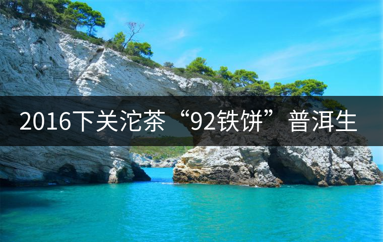 2016下關沱茶“92鐵餅”普洱生茶 2016下關沱茶“92鐵餅”普洱生茶