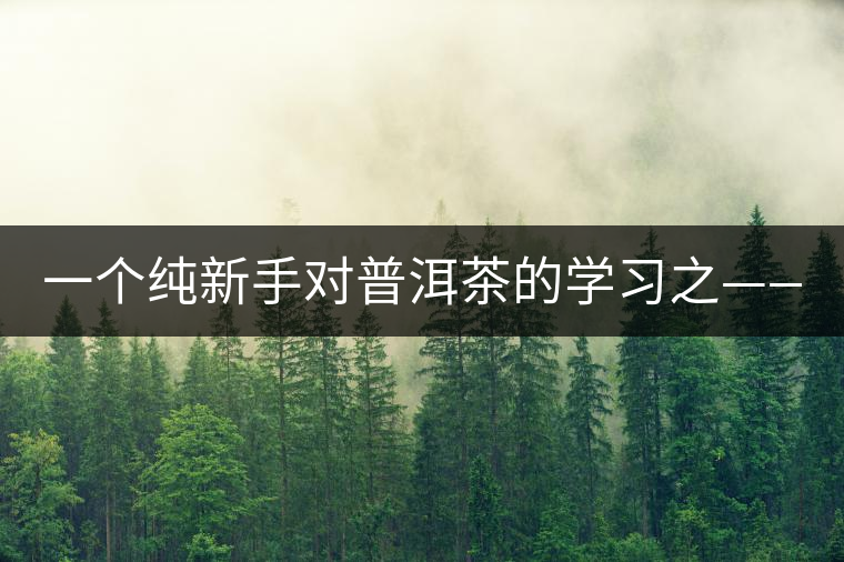 一個純新手對普洱茶的學習之——【韻】