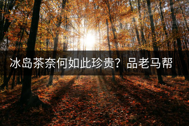 冰島茶奈何如此珍貴?品老馬幫之“冰島老寨”,答案在這里! 冰島茶奈何如此珍貴?品老馬幫之“冰島老寨”,答案在這里!