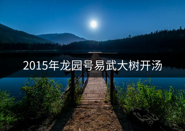 2015年龍園號易武大樹開湯