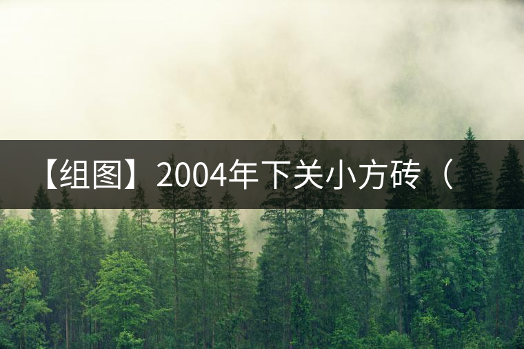 【組圖】2004年下關小方磚(生)開湯 【組圖】2004年下關小方磚(生)開湯