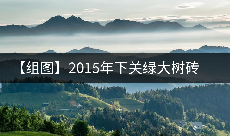 【組圖】2015年下關綠大樹磚茶開湯