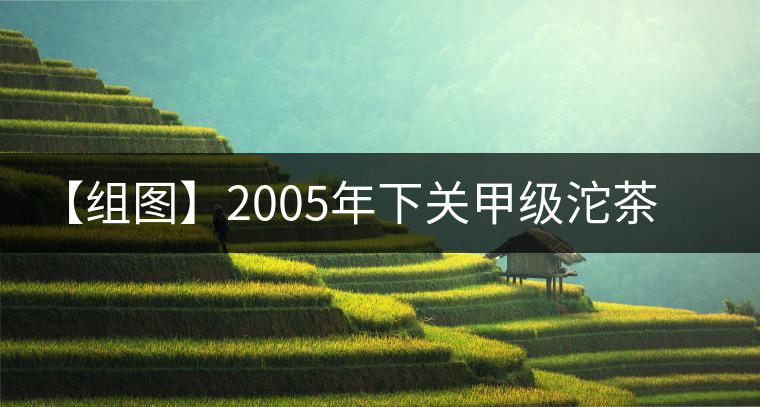 【組圖】2005年下關甲級沱茶開湯 【組圖】2005年下關甲級沱茶開湯