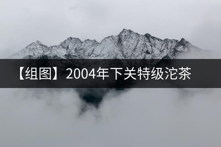 【組圖】2004年下關特級沱茶開湯 【組圖】2004年下關特級沱茶開湯