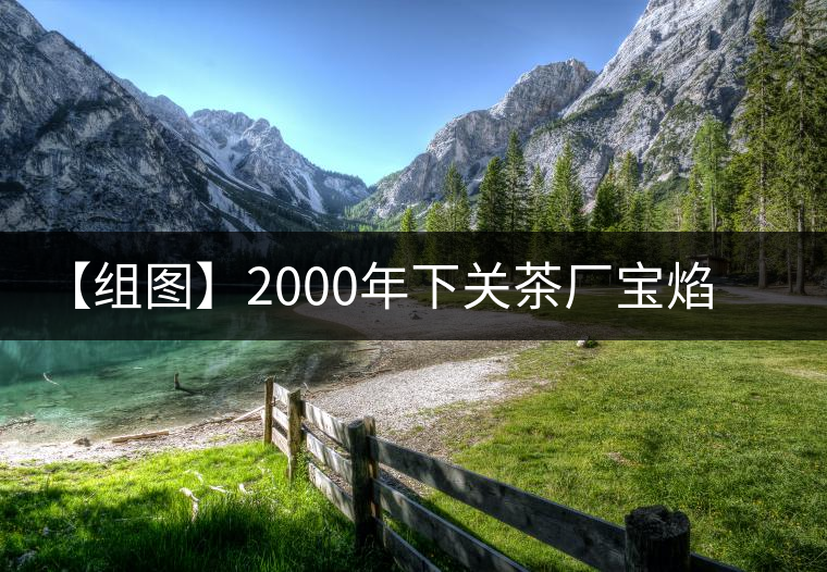 【組圖】2000年下關(guān)茶廠(chǎng)寶焰沱(蘑菇沱)開(kāi)湯 【組圖】2000年下關(guān)茶廠(chǎng)寶焰沱(蘑菇沱)開(kāi)湯