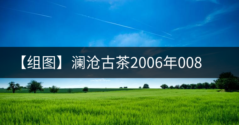 【組圖】瀾滄古茶2006年0081班禪沱開湯 【組圖】瀾滄古茶2006年0081班禪沱開湯