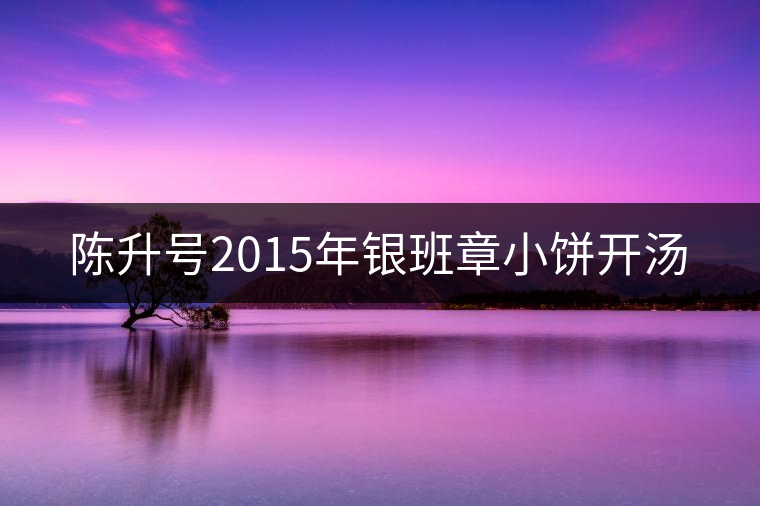 陳升號2015年銀班章小餅開湯 陳升號2015年銀班章小餅開湯