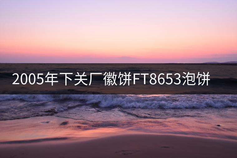 2005年下關廠徽餅FT8653泡餅開湯