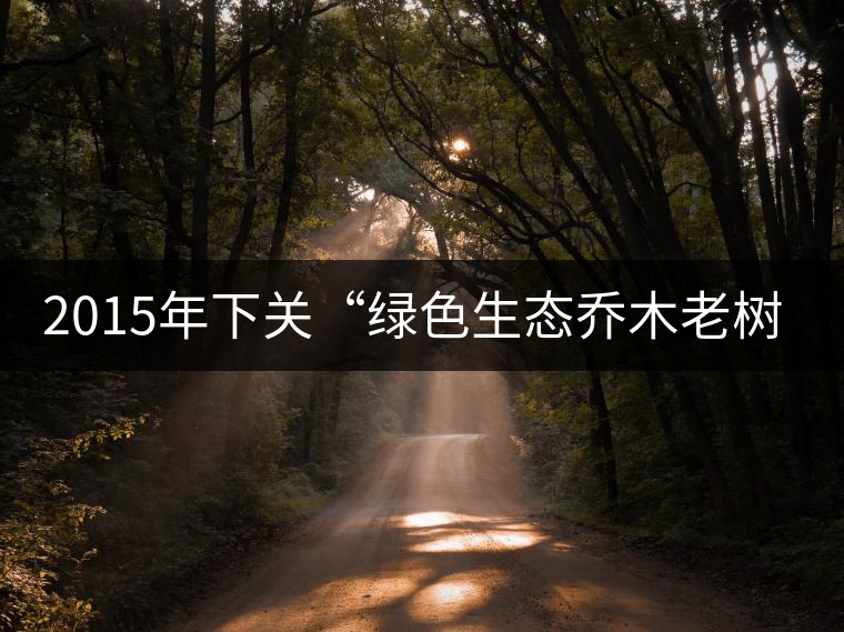 2015年下關“綠色生態喬木老樹茶”開湯 2015年下關“綠色生態喬木老樹茶”開湯