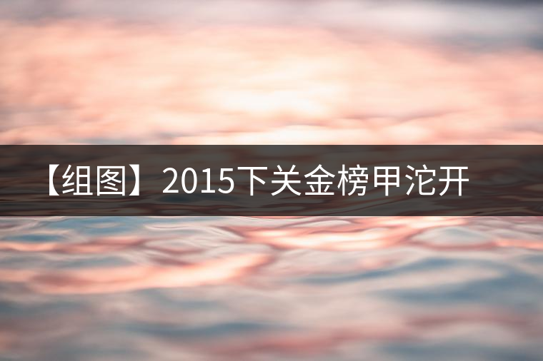 【組圖】2015下關金榜甲沱開湯
