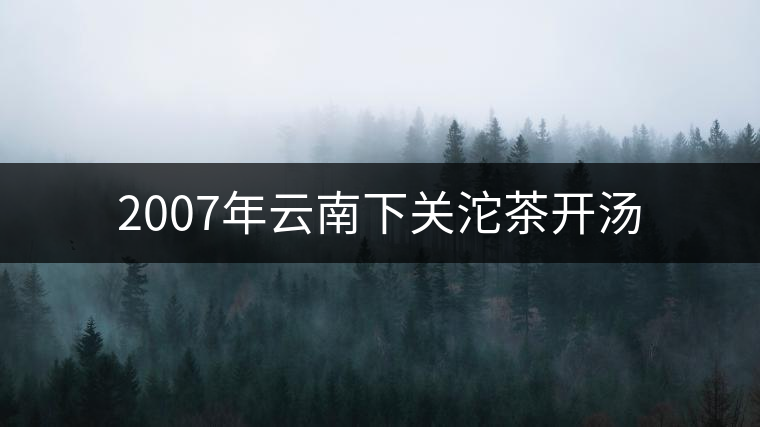 2007年云南下關沱茶開湯