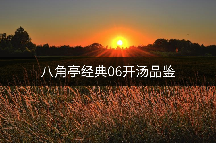 八角亭經典06開湯品鑒 八角亭經典06開湯品鑒