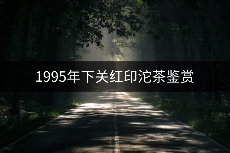 1995年下關紅印沱茶鑒賞 1995年下關紅印沱茶鑒賞