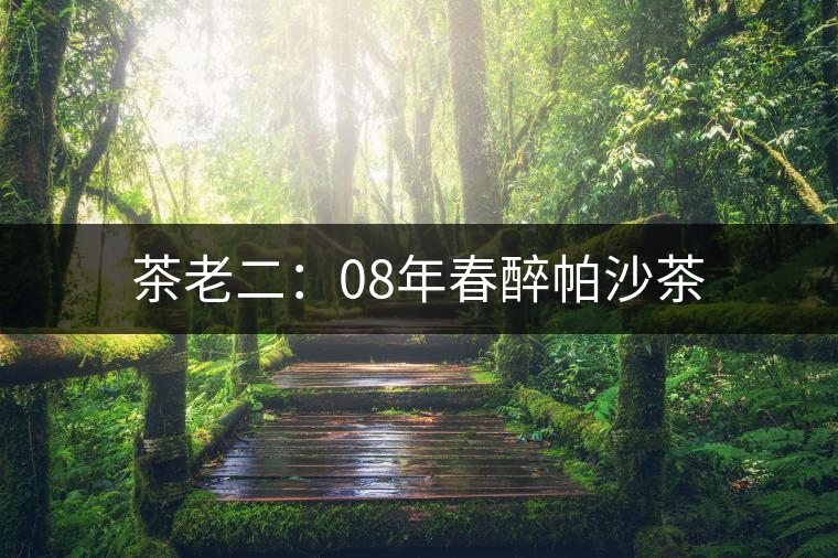 茶老二：08年春醉帕沙茶