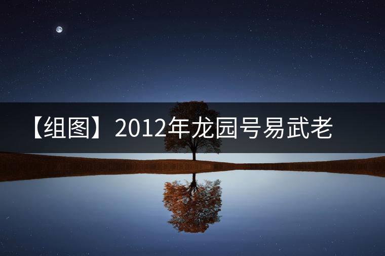 【組圖】2012年龍園號易武老樹餅茶開湯
