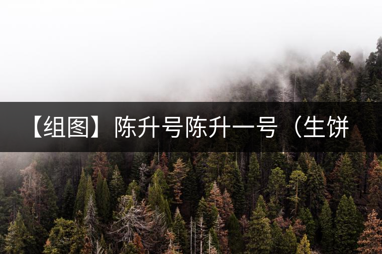 【組圖】陳升號陳升一號（生餅）開湯