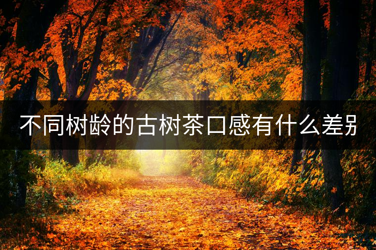 不同樹齡的古樹茶口感有什么差別? 不同樹齡的古樹茶口感有什么差別?