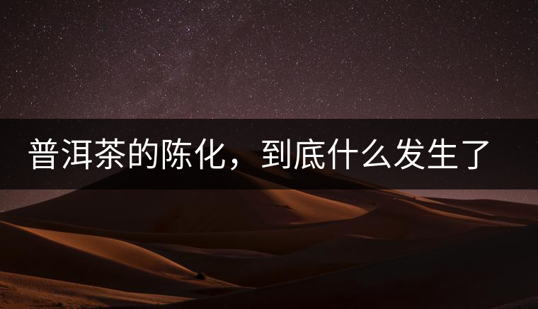 普洱茶的陳化，到底什么發生了哪些變化？