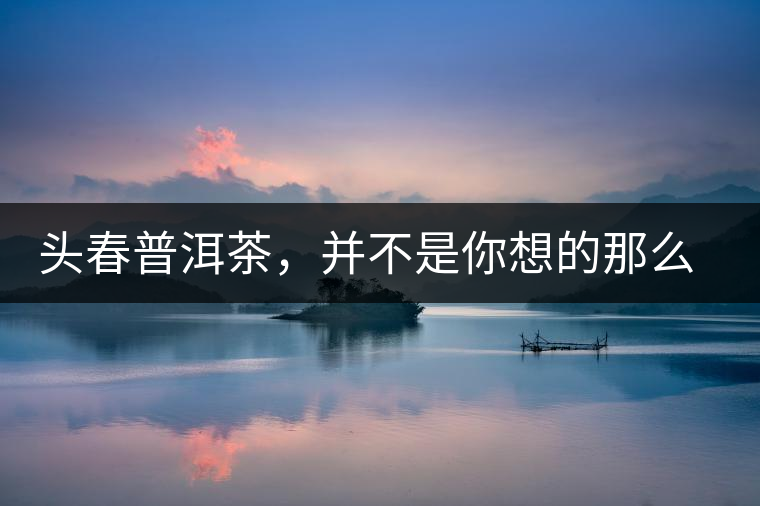 頭春普洱茶，并不是你想的那么好