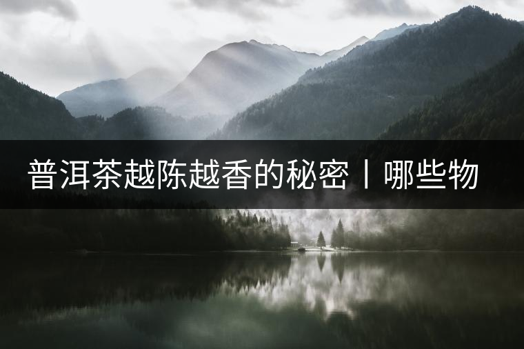 普洱茶越陳越香的秘密丨哪些物質會發生變化呢? 普洱茶越陳越香的秘密丨哪些物質會發生變化呢?