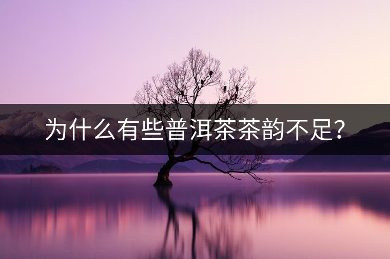 為什么有些普洱茶茶韻不足? 為什么有些普洱茶茶韻不足?