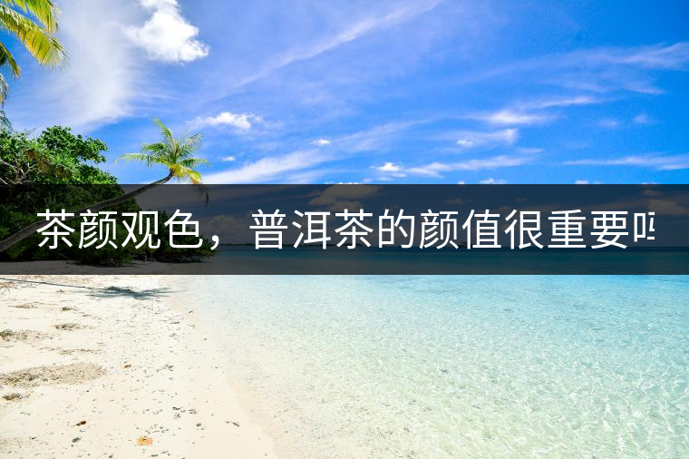 茶顏觀色，普洱茶的顏值很重要嗎？