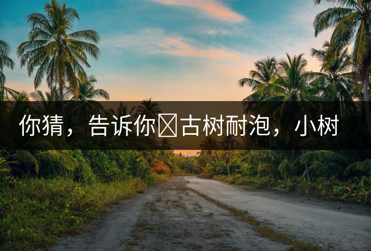 你猜,告訴你?古樹耐泡,小樹、臺地不耐泡都是什么心理? 你猜,告訴你?古樹耐泡,小樹、臺地不耐泡都是什么心理?