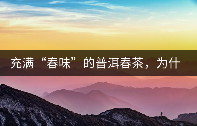 充滿“春味”的普洱春茶，為什么值得期待？