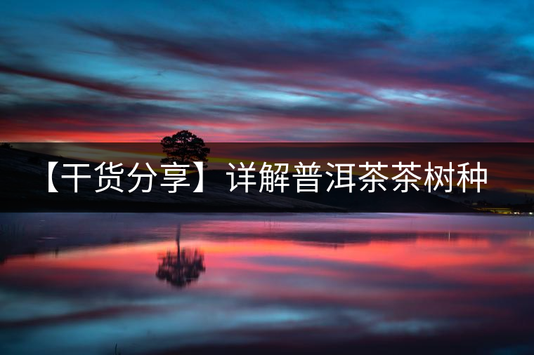 【干貨分享】詳解普洱茶茶樹(shù)種類分類