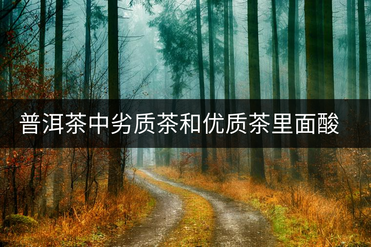 普洱茶中劣質(zhì)茶和優(yōu)質(zhì)茶里面酸味有什么區(qū)別