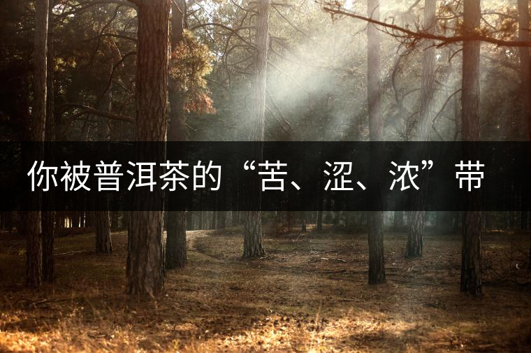 你被普洱茶的“苦、澀、濃”帶入“歧途”了嗎？