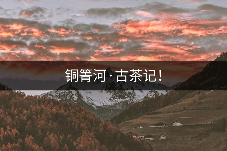 銅箐河·古茶記! 銅箐河·古茶記!