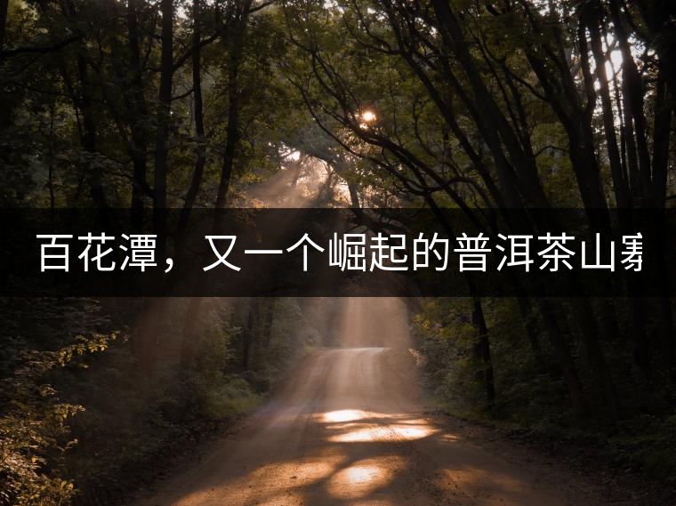 百花潭，又一個崛起的普洱茶山寨！