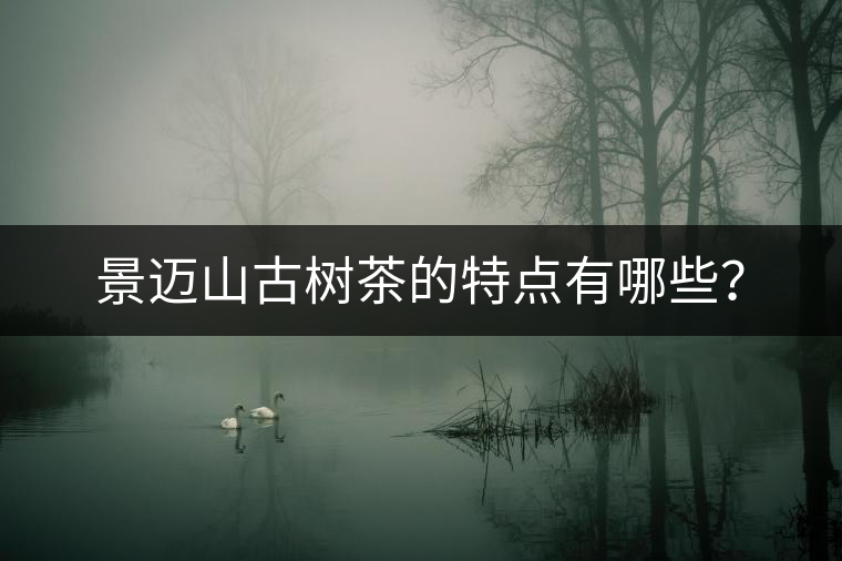景邁山古樹茶的特點(diǎn)有哪些? 景邁山古樹茶的特點(diǎn)有哪些?