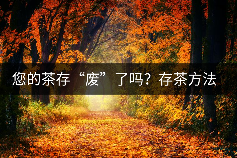 您的茶存“廢”了嗎？存茶方法與技巧，把香留住！