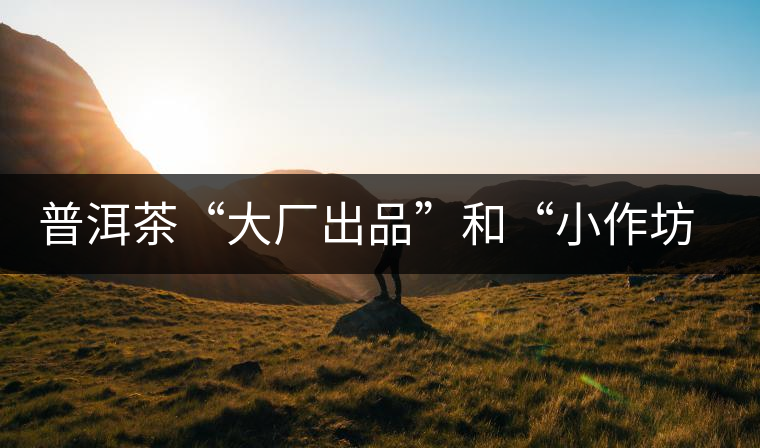 普洱茶“大廠出品”和“小作坊”,哪一個更值得購買? 普洱茶“大廠出品”和“小作坊”,哪一個更值得購買?