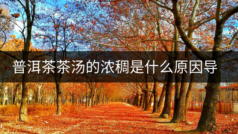 普洱茶茶湯的濃稠是什么原因導致的？