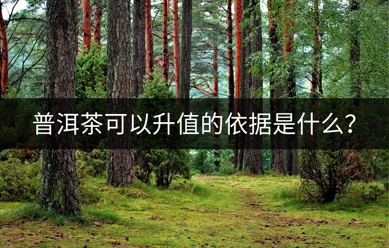 普洱茶可以升值的依據(jù)是什么? 普洱茶可以升值的依據(jù)是什么?